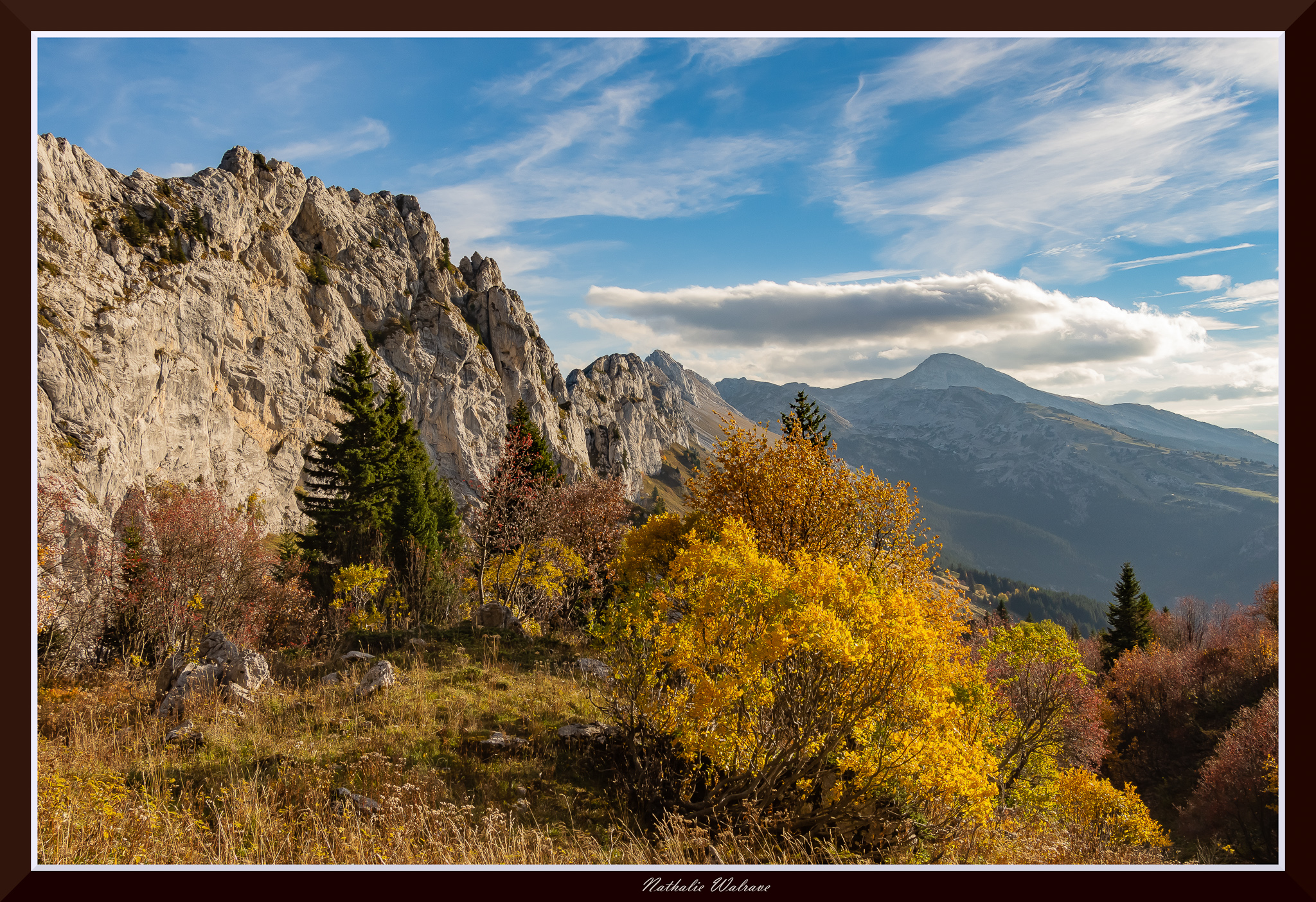 paysage d'automne